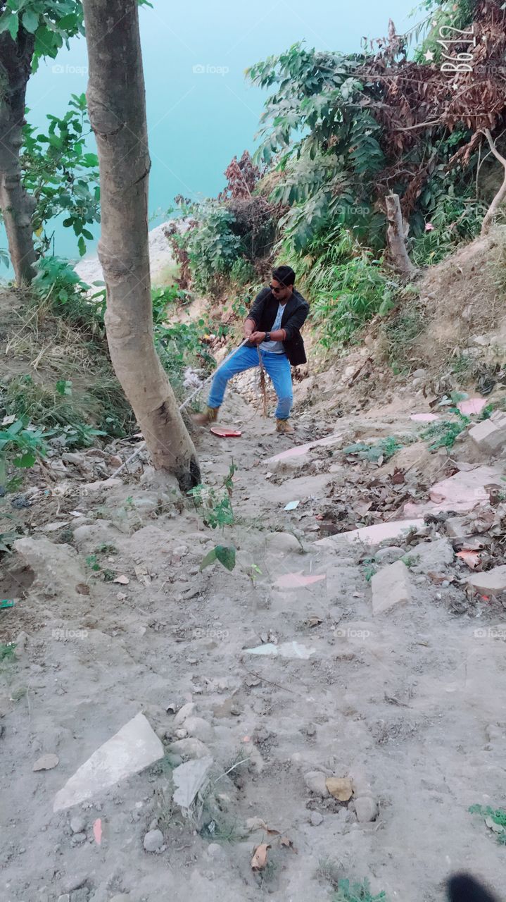 advance forest avenge