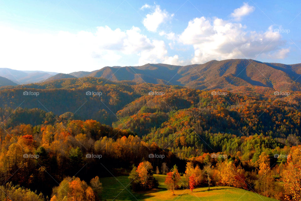 gatlinburg tree clouds trees by refocusphoto