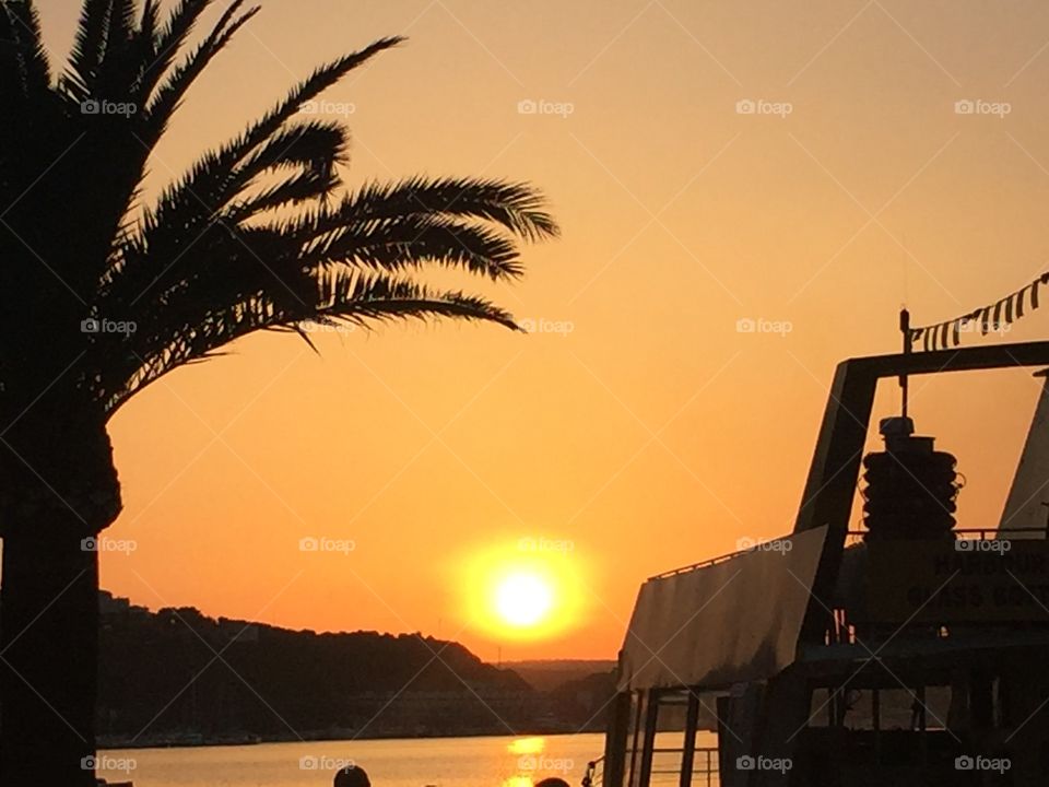 Sunset with silhouette of palm tree in Menorca, Spain