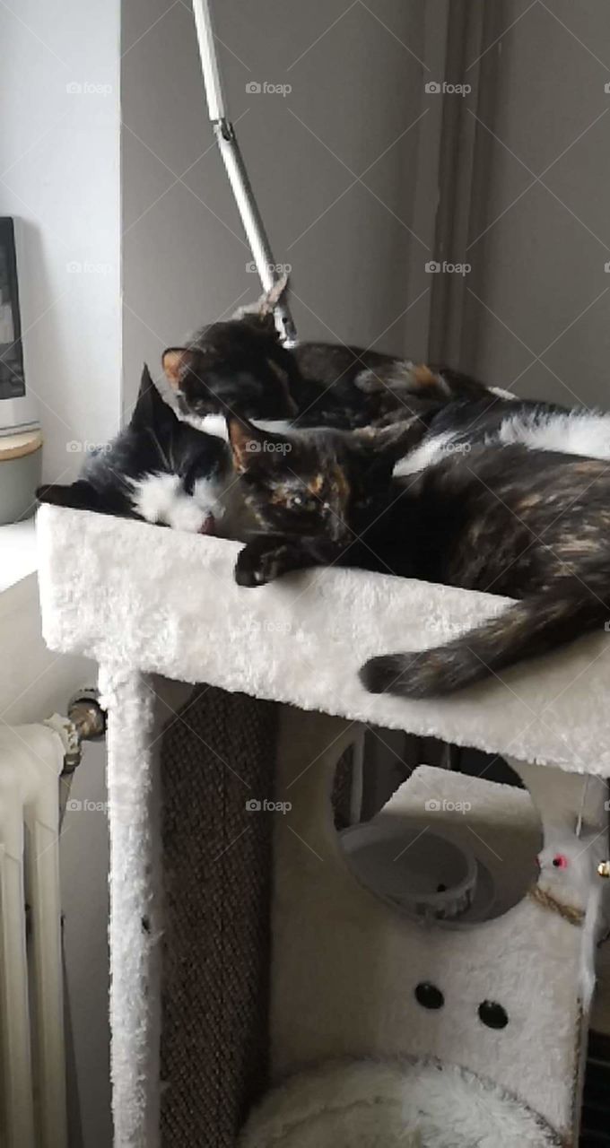 il reste toujours une petite place