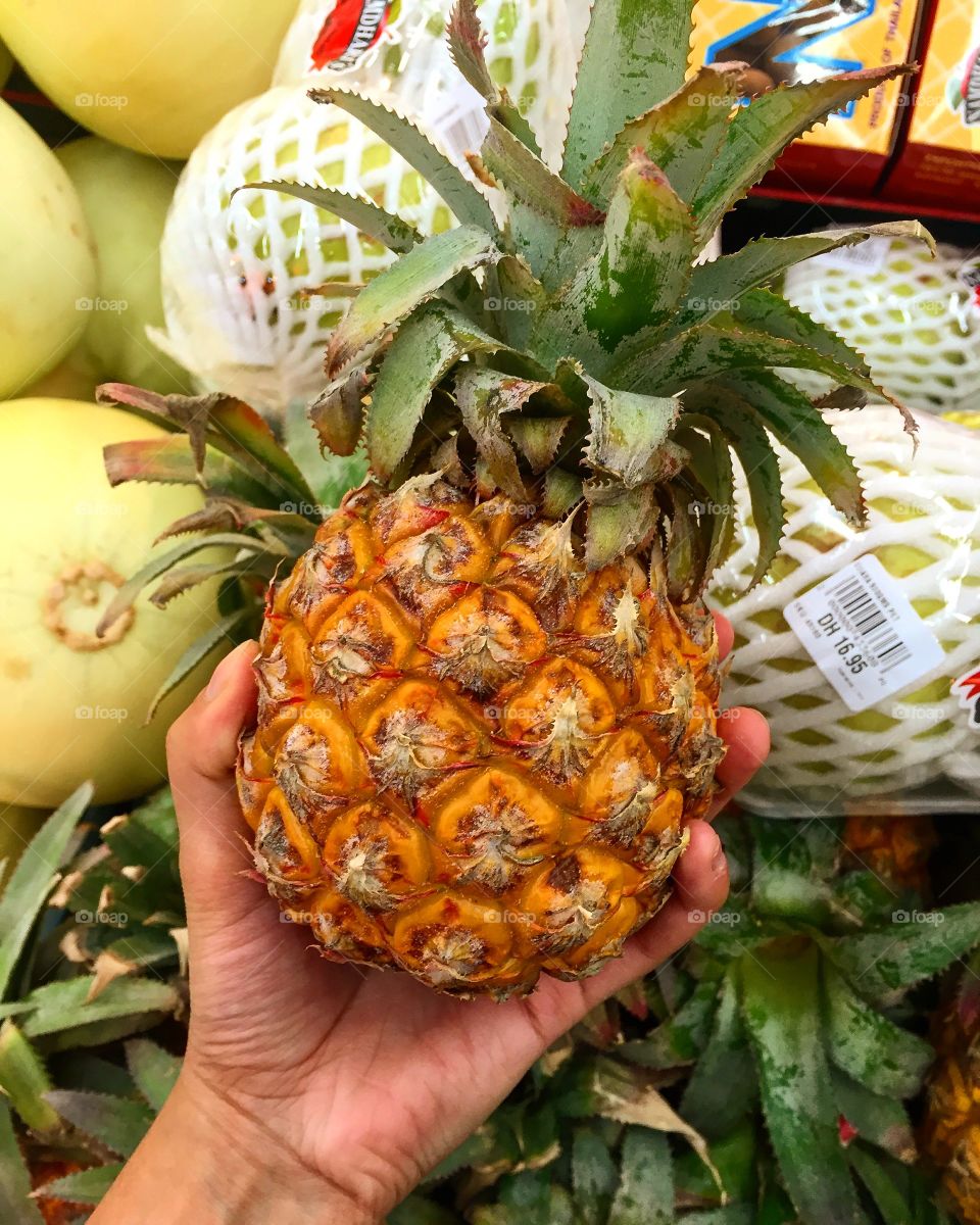 Baby pineapple