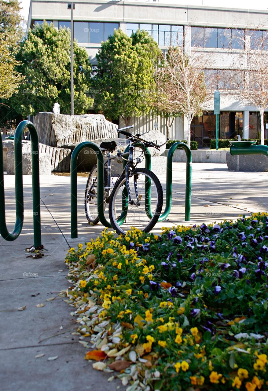 Parked bicycle 