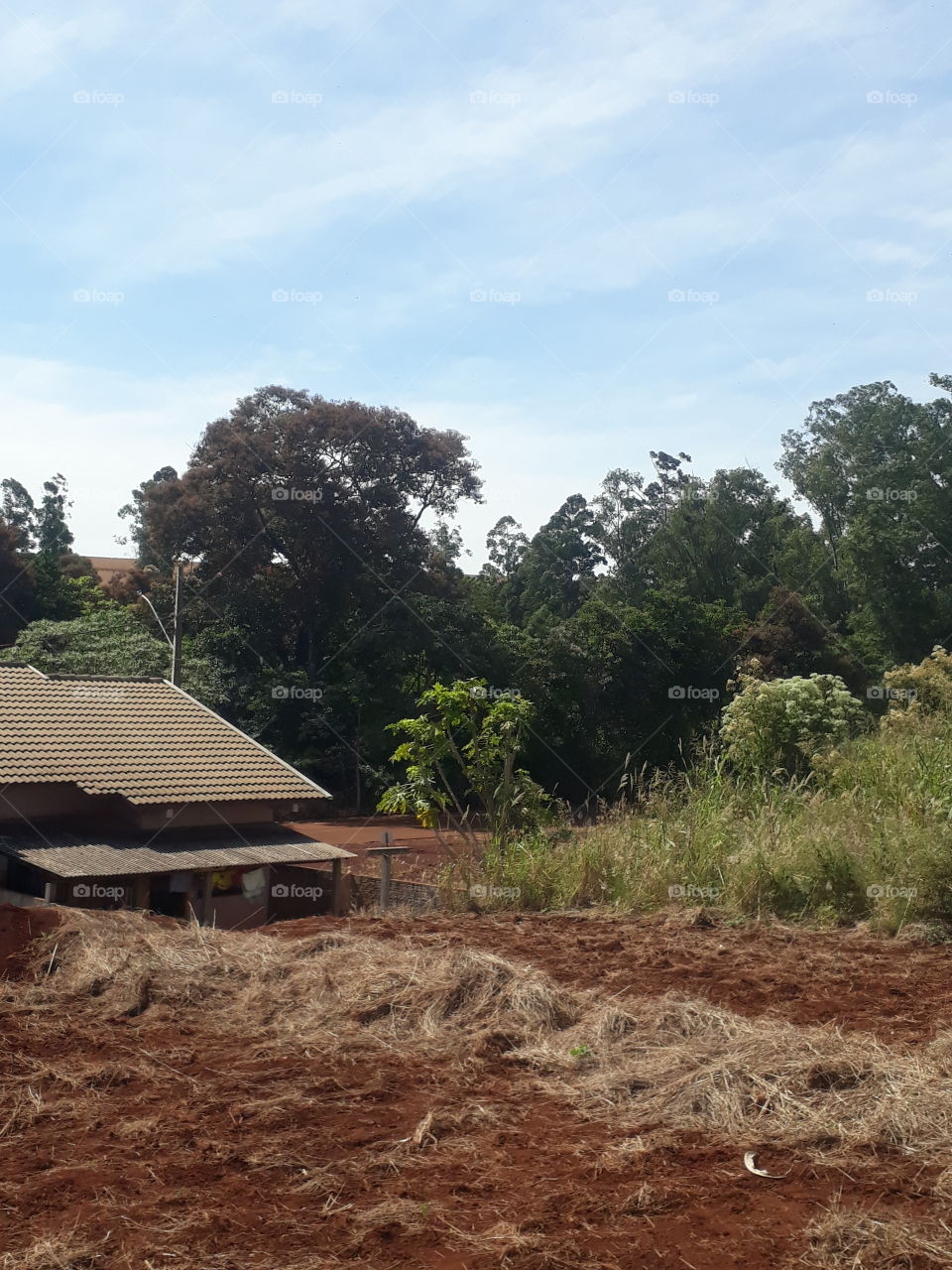 Cafelândia Paraná Brasil