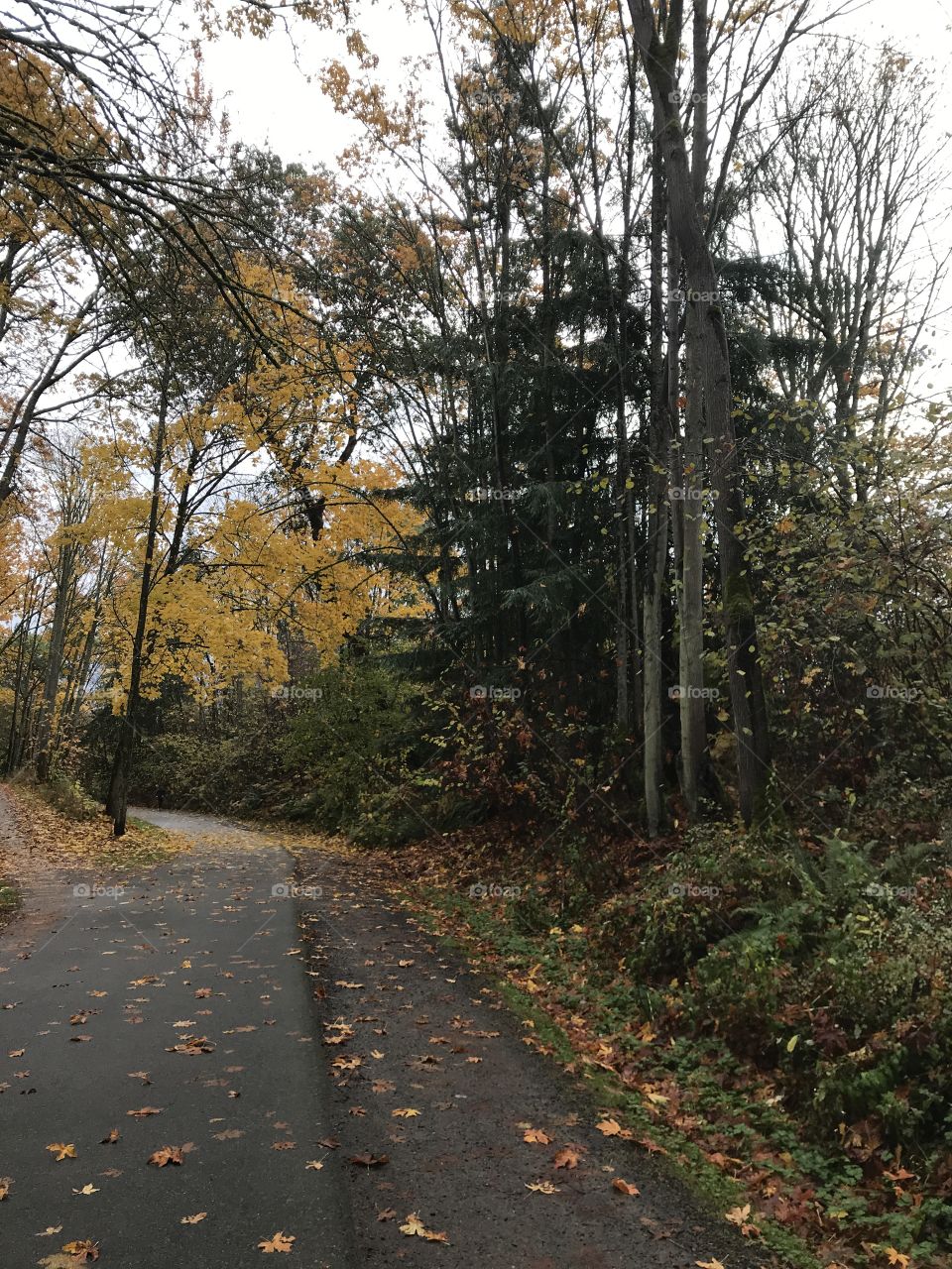 Fall foliage bike trail 