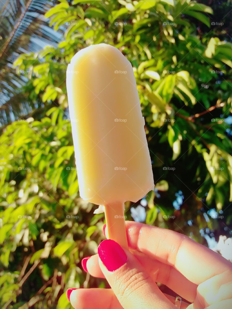 a homemade popsicle in 2019?