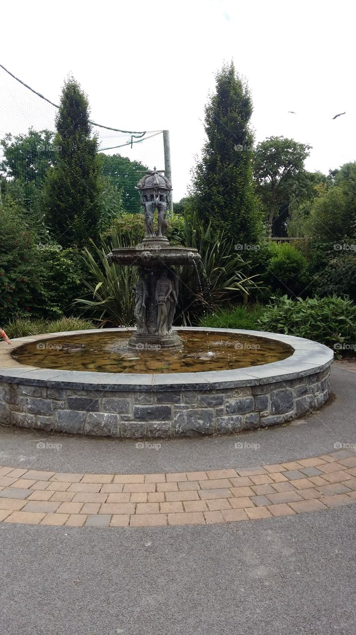 Fountain, Park, Architecture, Sculpture, Garden
