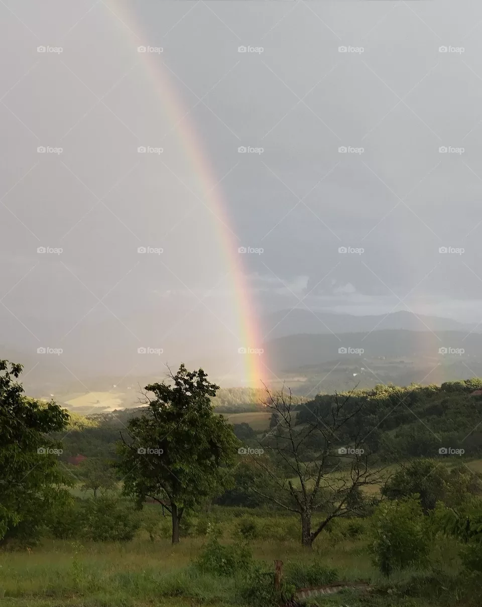 Rainbow