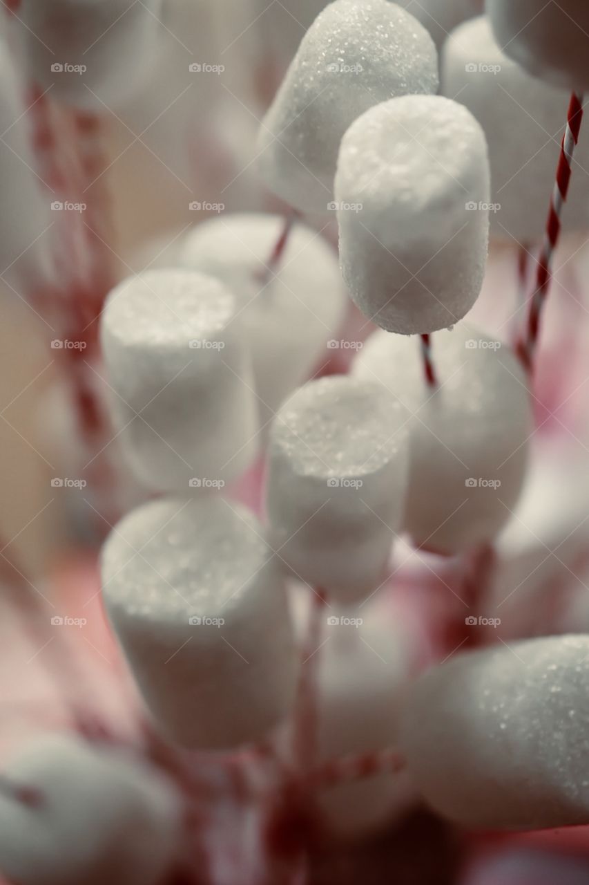 Marshmallows On A Stick For Christmas Decoration 