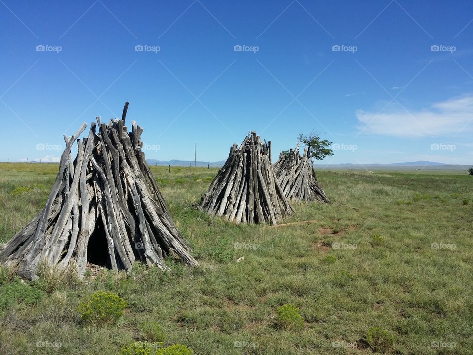Wood Posts
