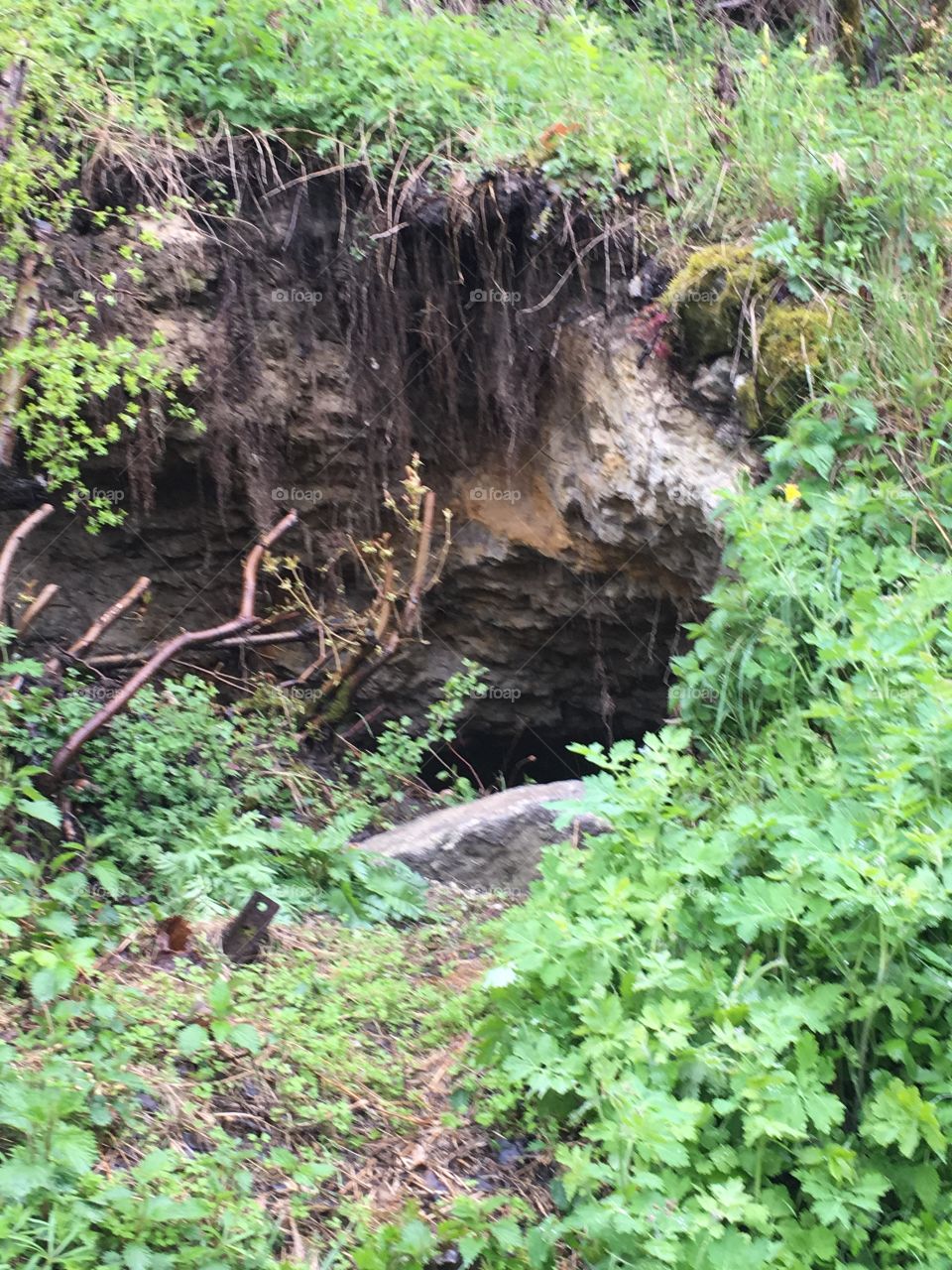Hidden Cave 