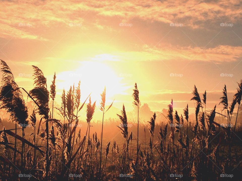 Sunrise on a misty morning