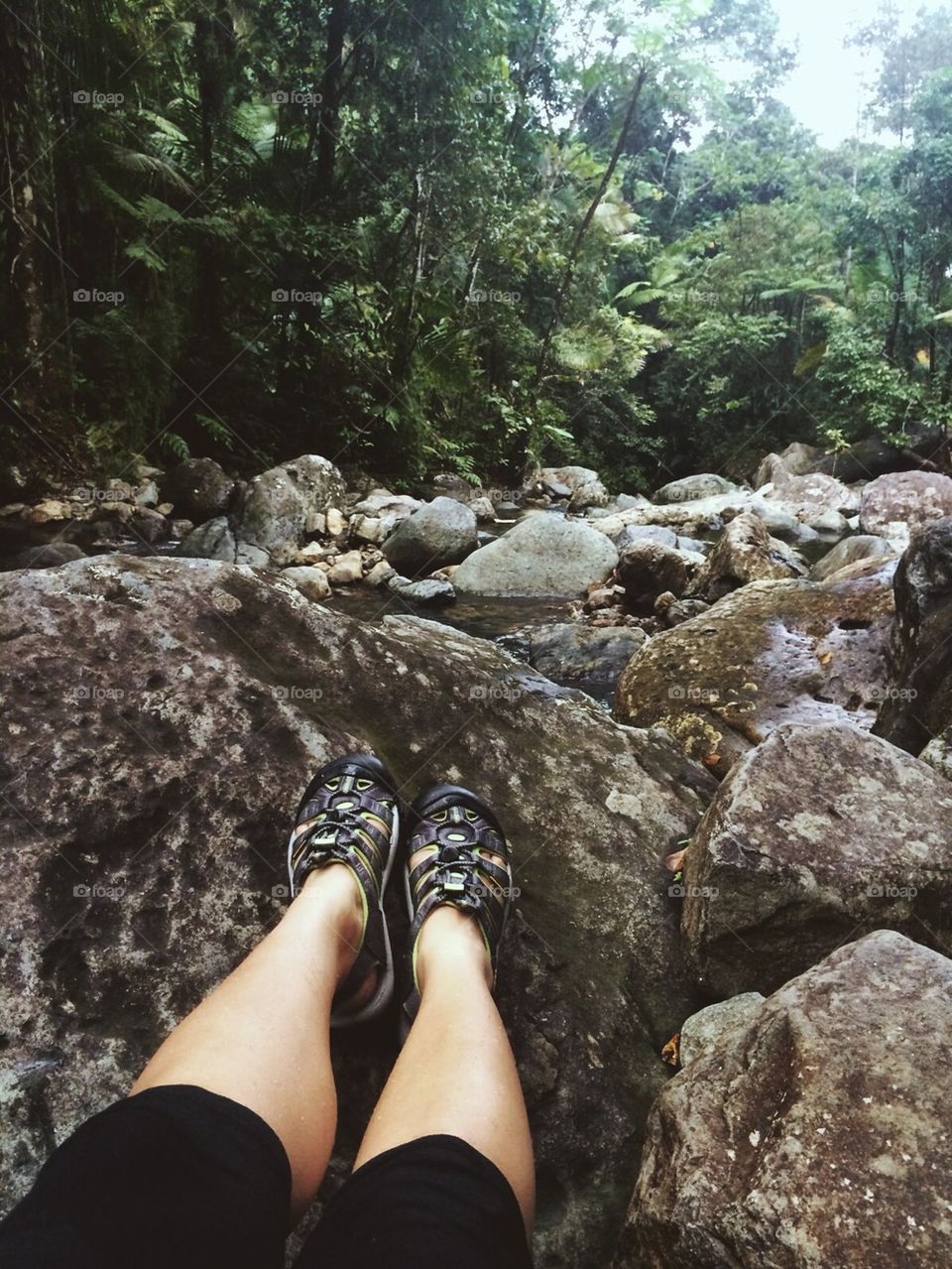 Looking down at El Yunque