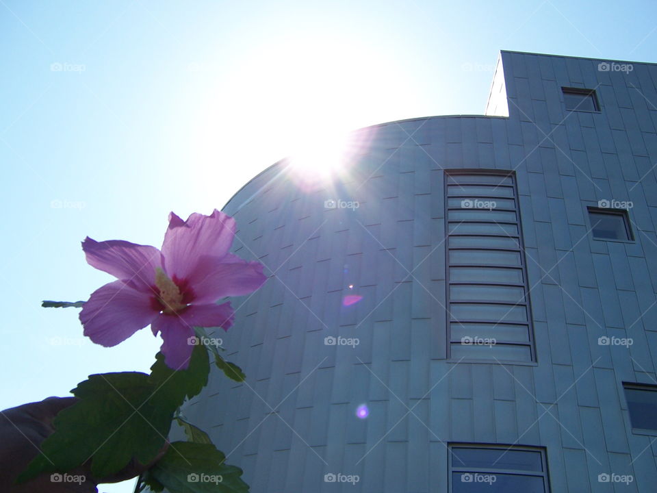 building. I took this picture in Sacramento California