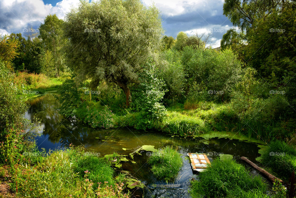 the picturesque landscape with a river on a summer sunny day