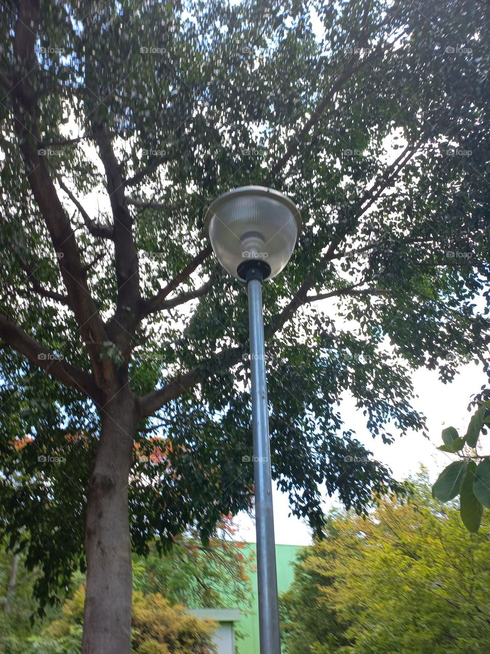 Poste de iluminação  para praças e jardins, são recursos que trazem funcionalidade, uma boa iluminação nos ambientes é fundamental  para criar conforto visual, embelezar o ambiente  e,  um toque todo  especial  estilo paisagismo