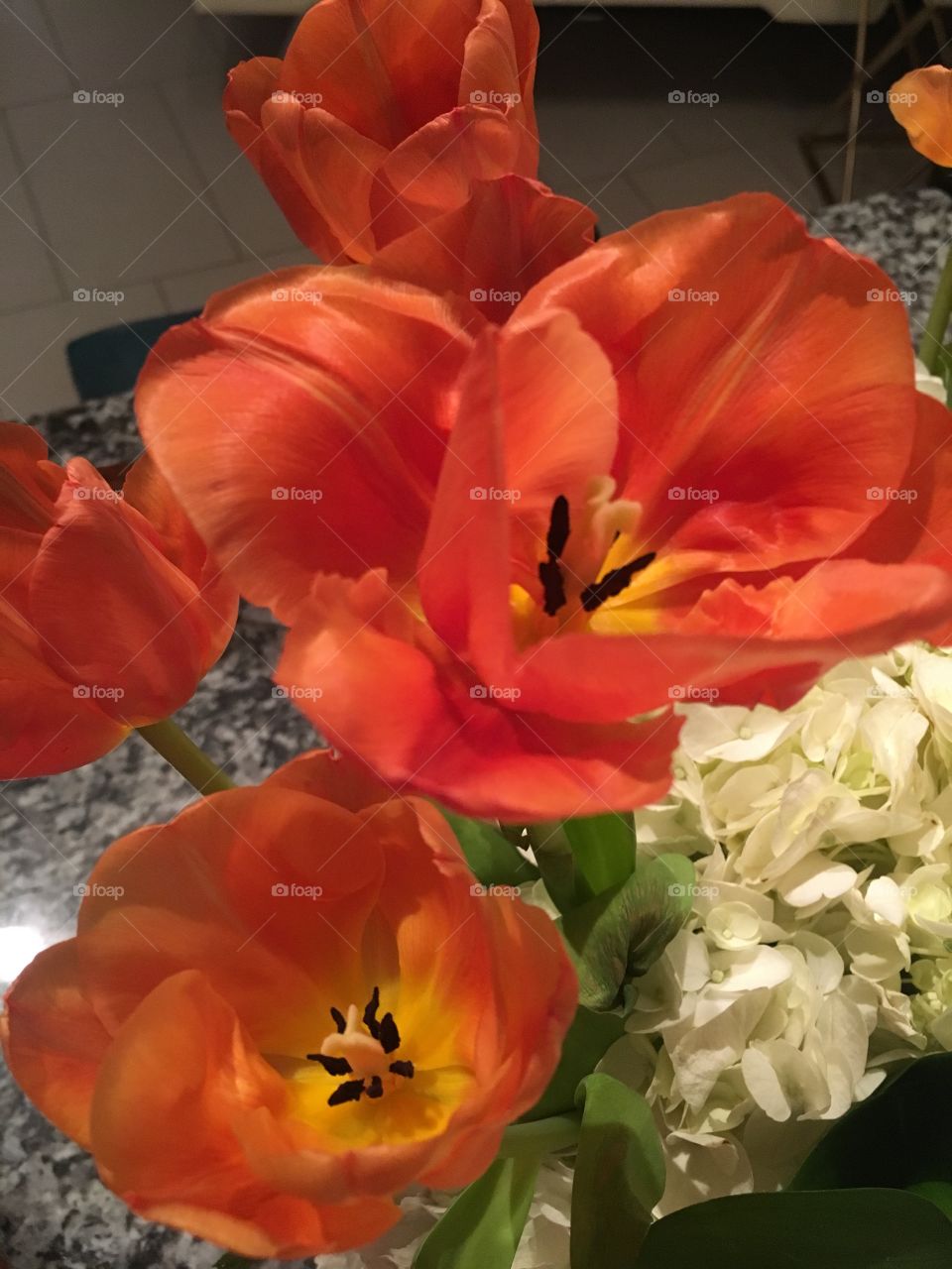 Tulips are beautiful 