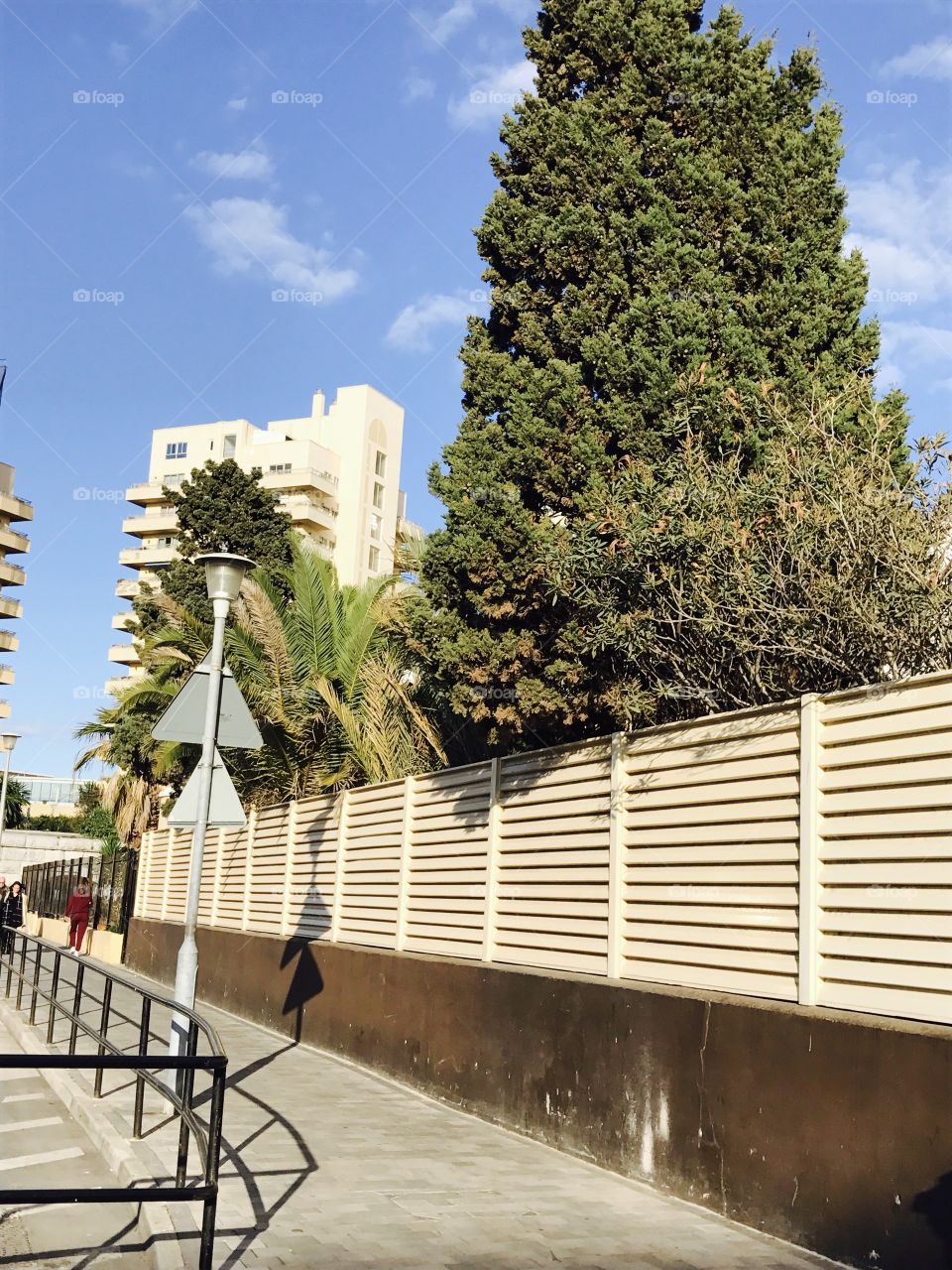 Trees-fence-green