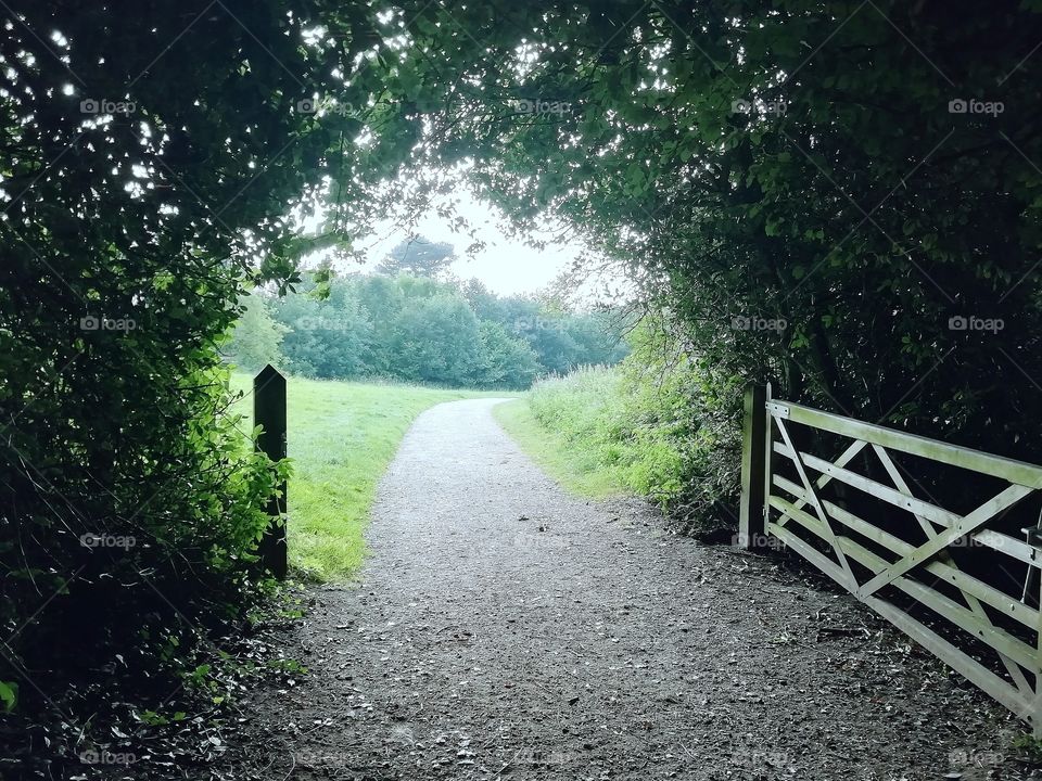 Pathway through an open gate leading to countryside