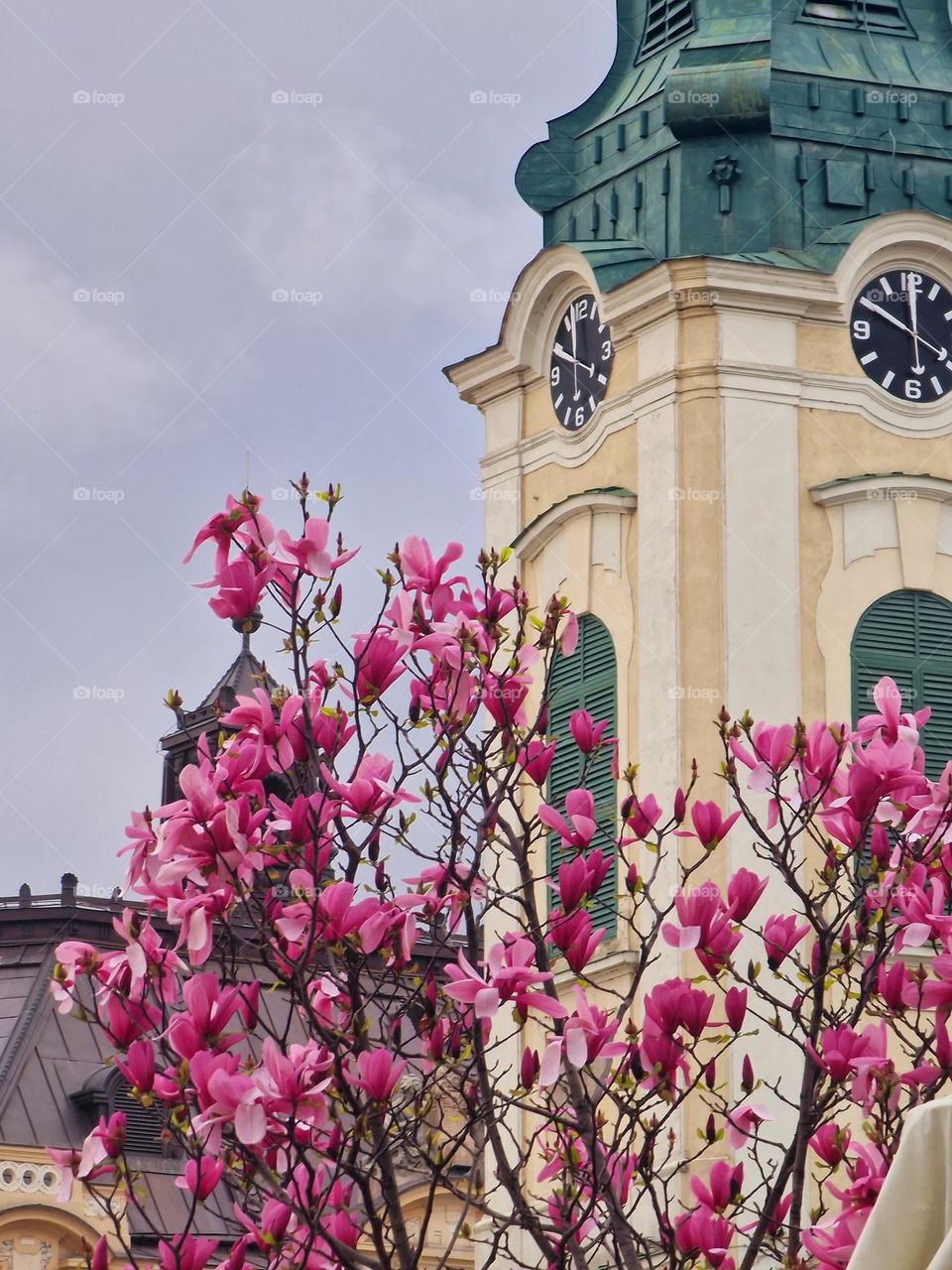 the colors of the city of Oradea in spring