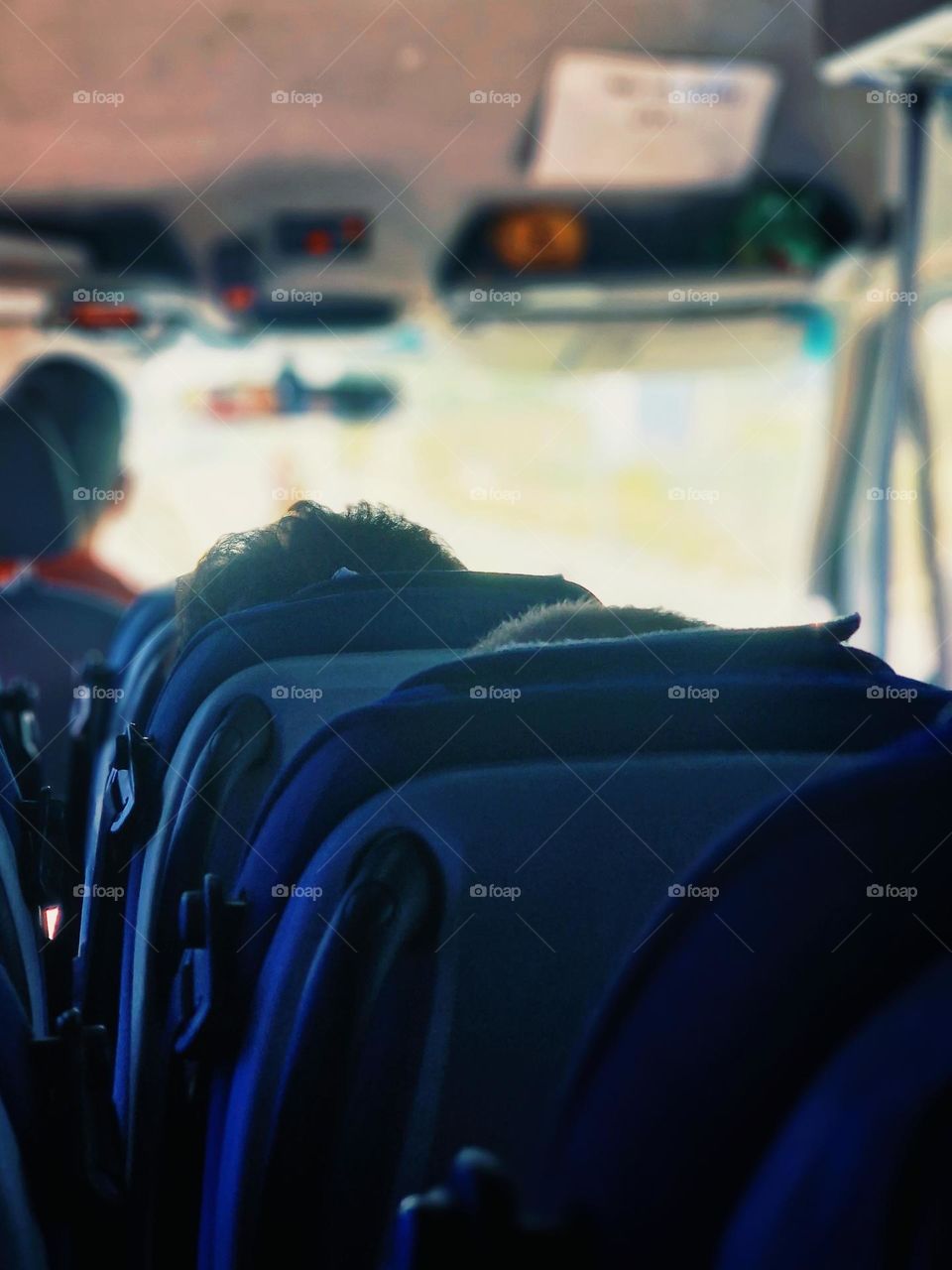 travel by bus