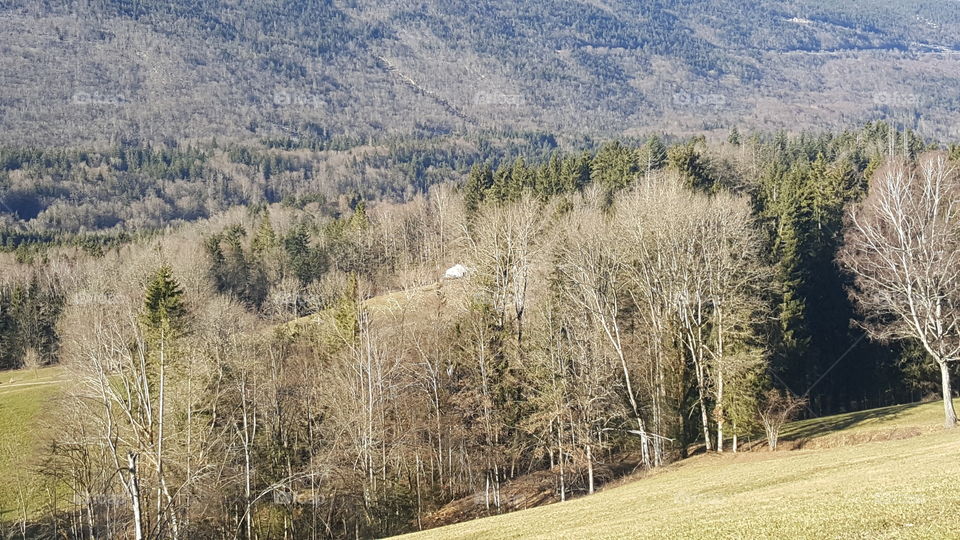 A sunny day in mountain