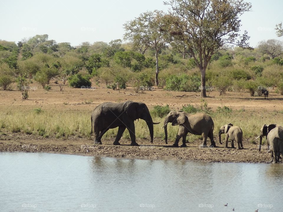 Baby Meets the family 