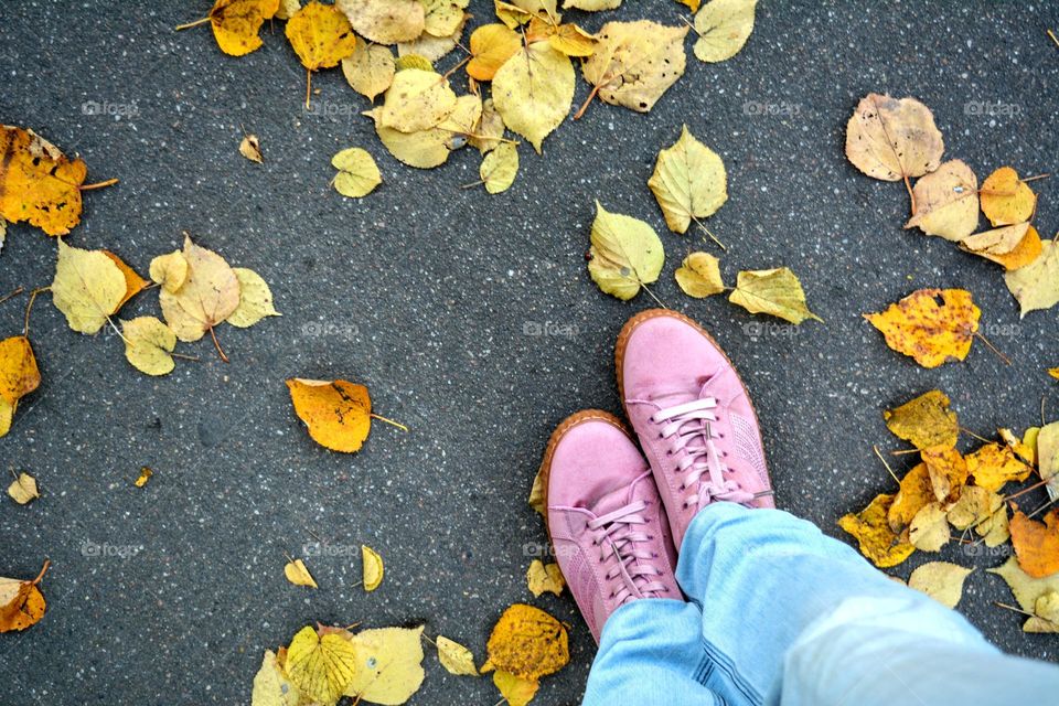 yellow autumn leaves and female shoes on a street pavement, top view, love autumn