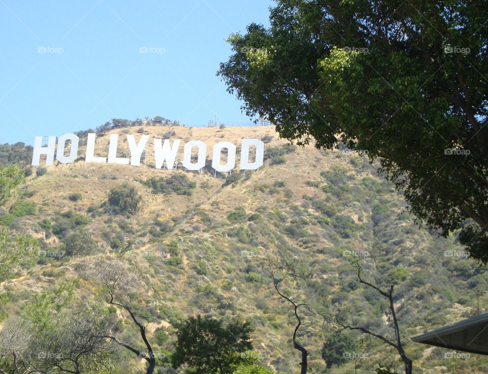 Hollywood sign. Hollywood hills