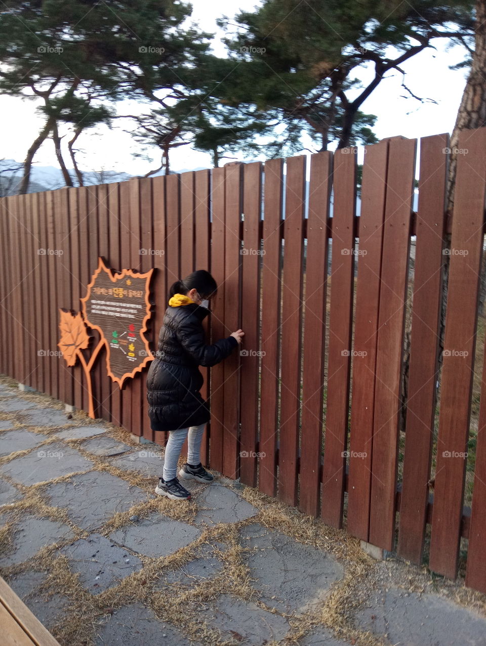 we take a long walk just to reach here. this place is one of the place where people can do exercise or play. this fence looks so nice and safe.