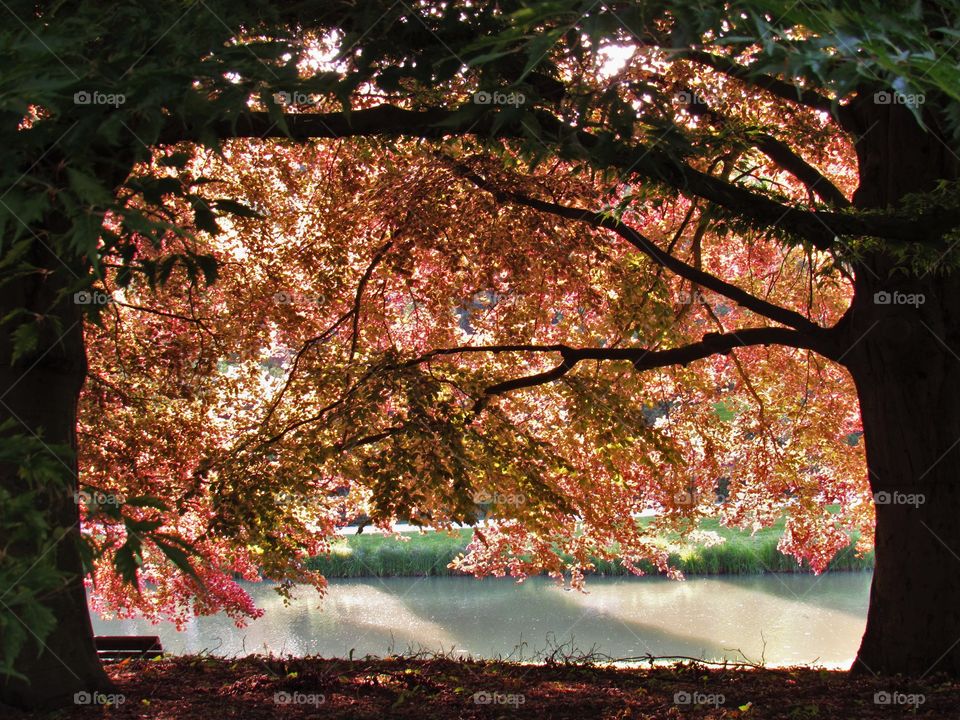 In the park