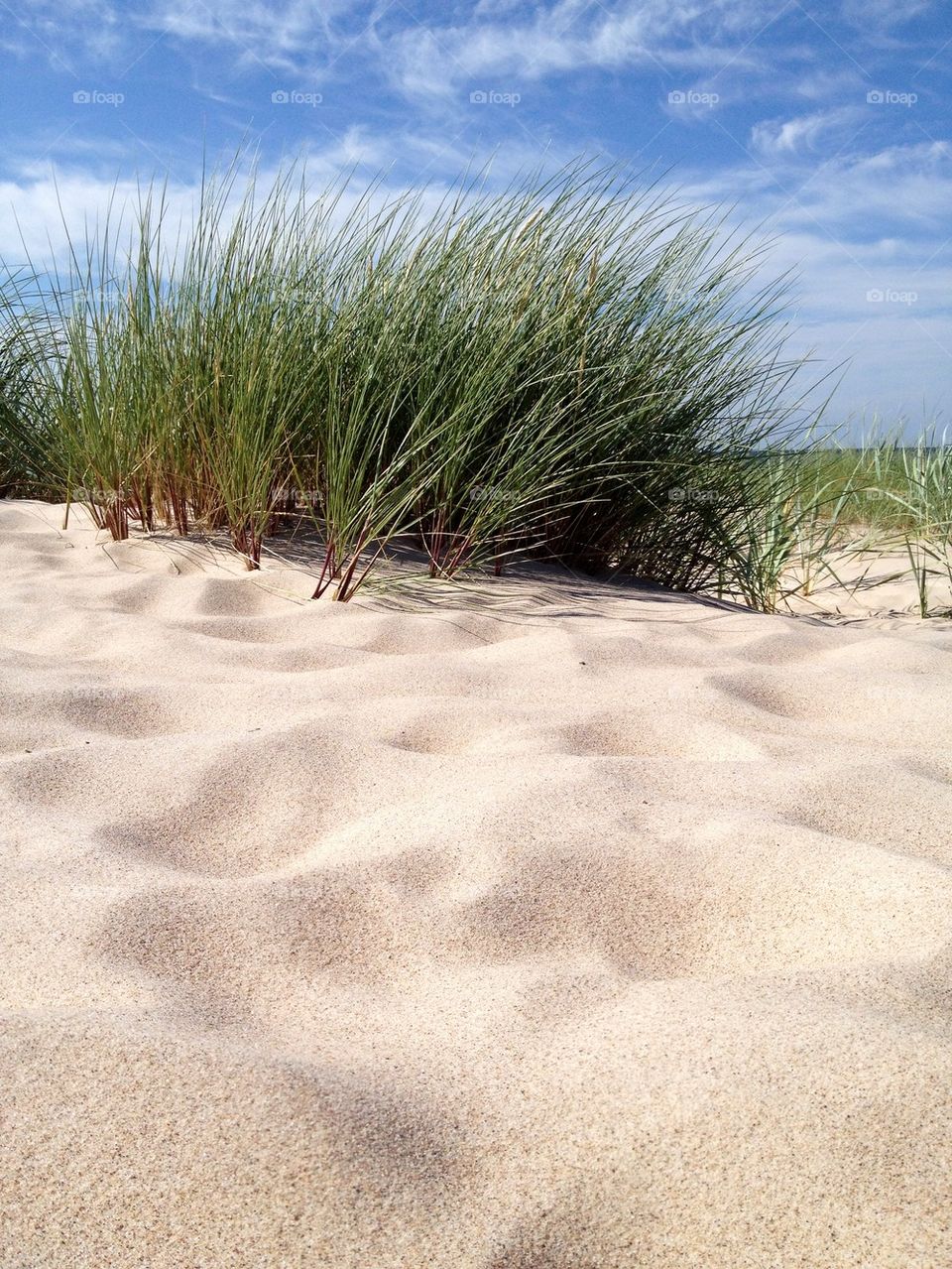 Sanddyner Fårö