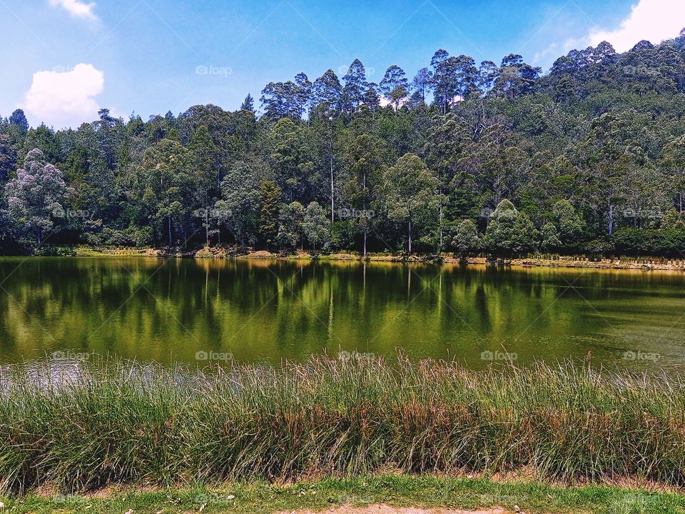 morning view in the lake