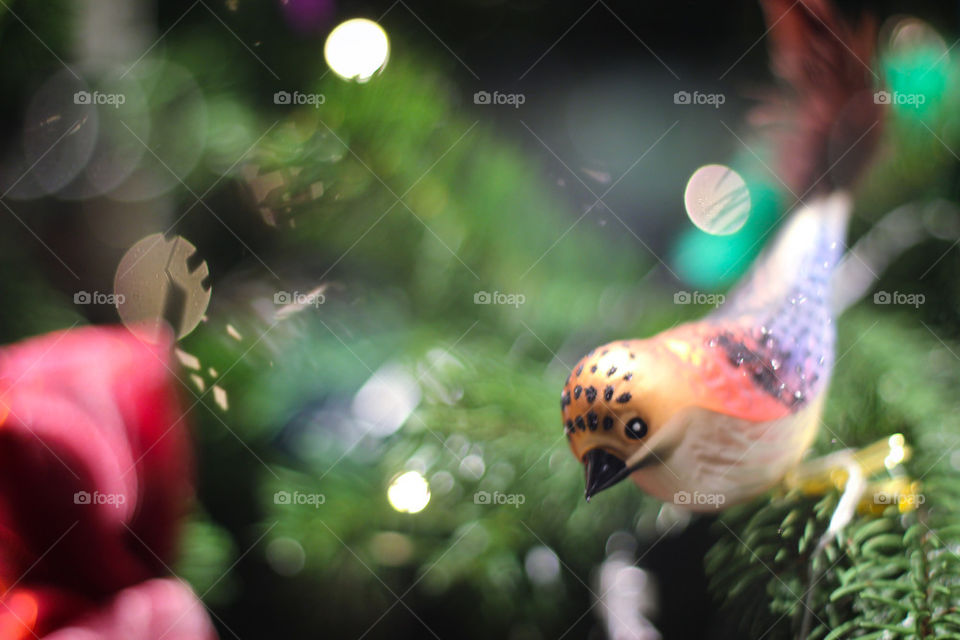 Christmas tree bird