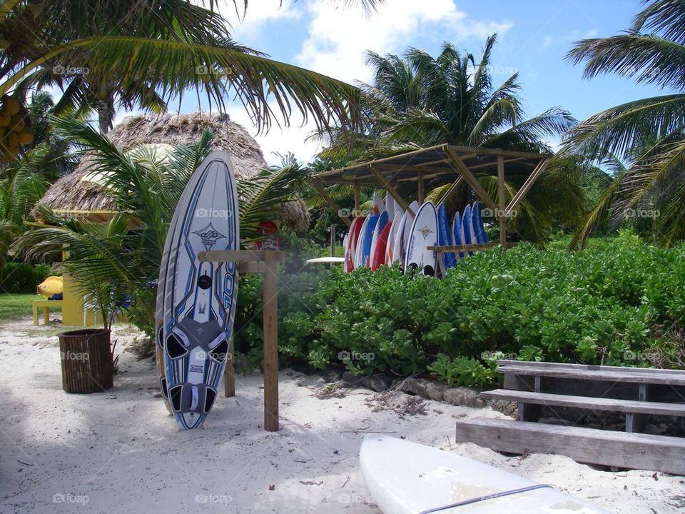 Surfing in Belize