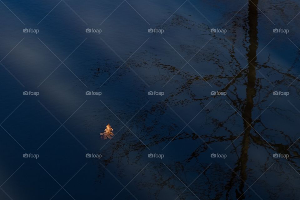 A lone oak leaf drifts aimlessly along a creek through light and shadows. Yates Mill County Park, Raleigh, North Carolina. 