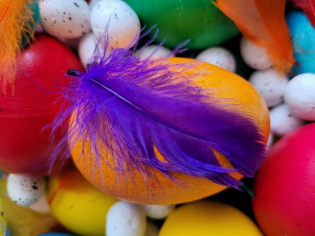 eggs, Easter