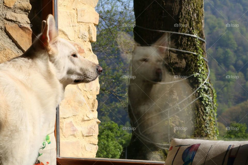 reflejos