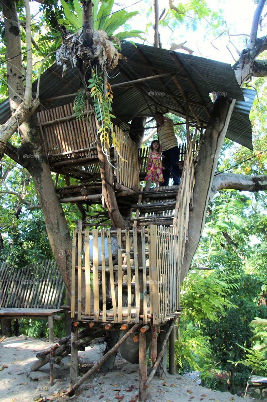 Tree House