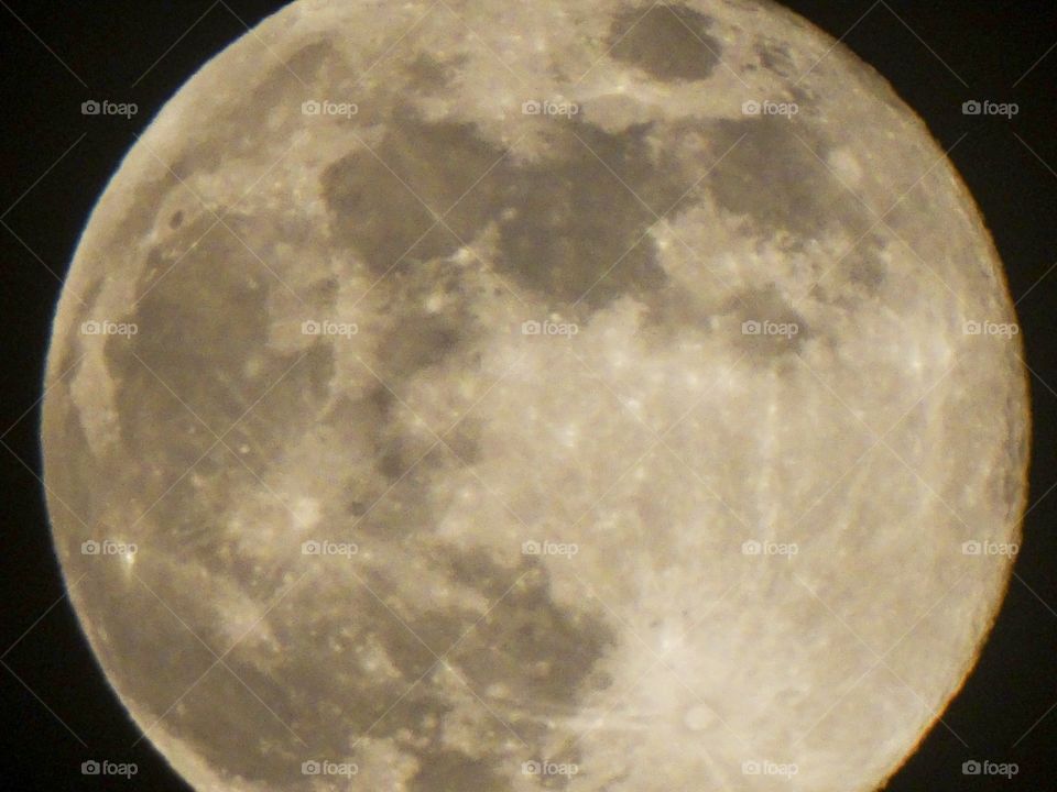May Moon
