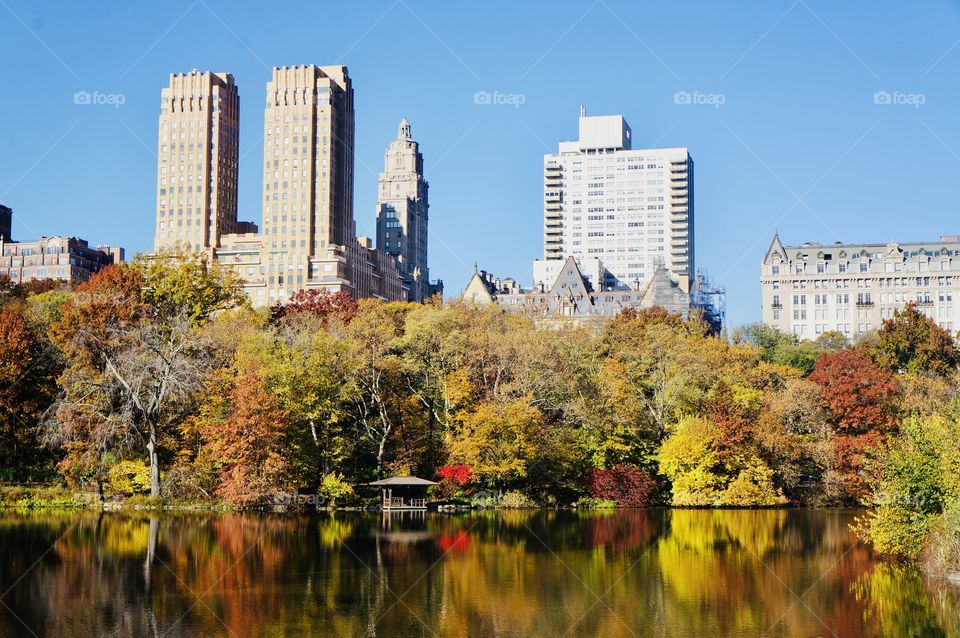 Autumn- The trees on the lake erupt in a riot of colors, stunning with the buildings and blue sky in the background. 