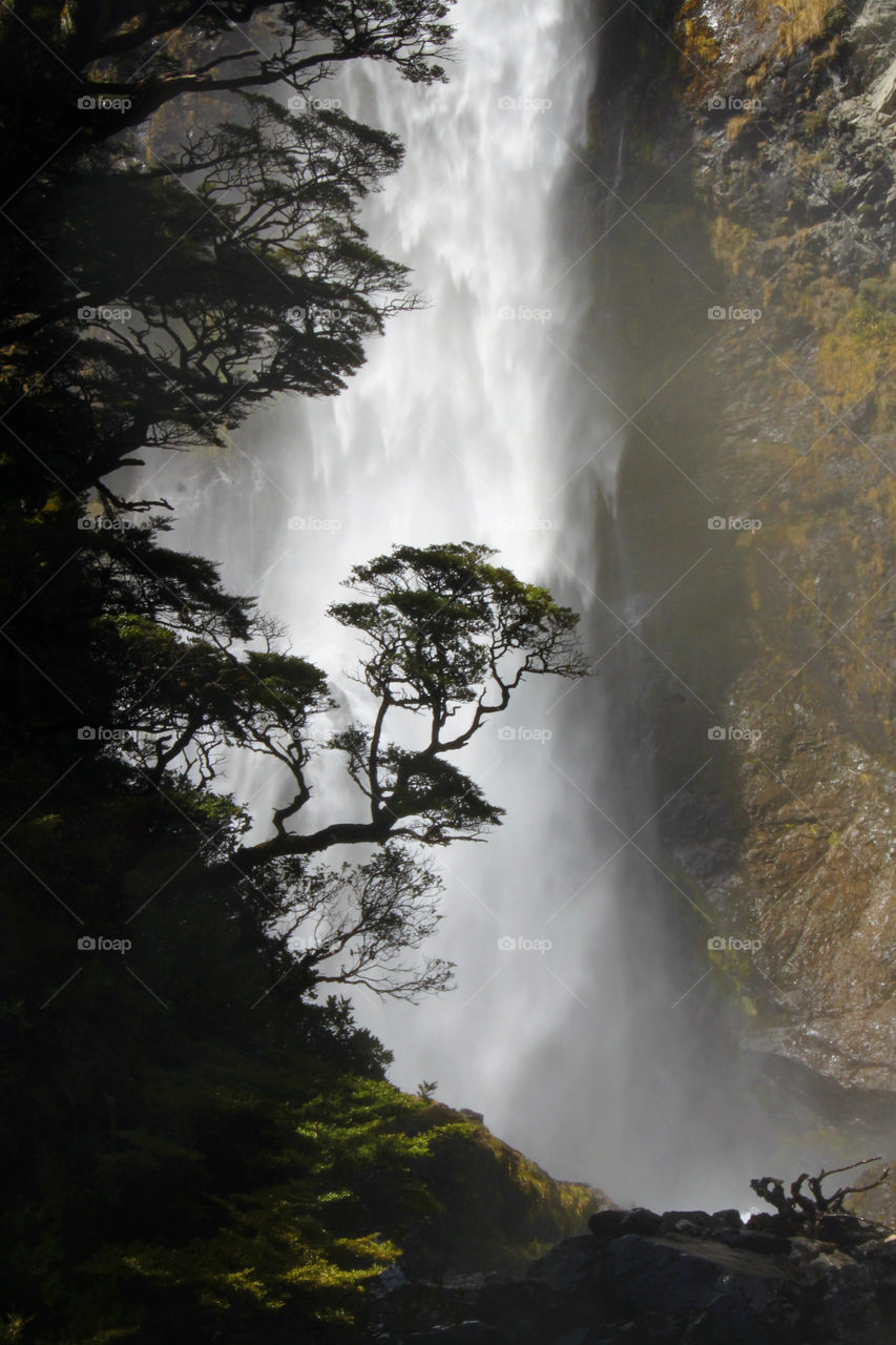 Waterfall in the forest