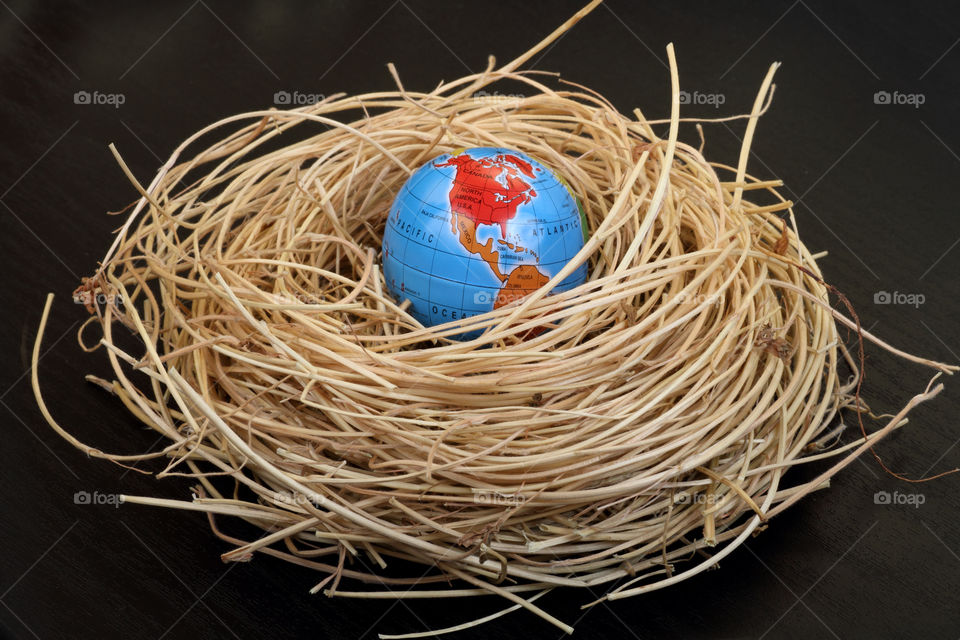 Globe inside a nest