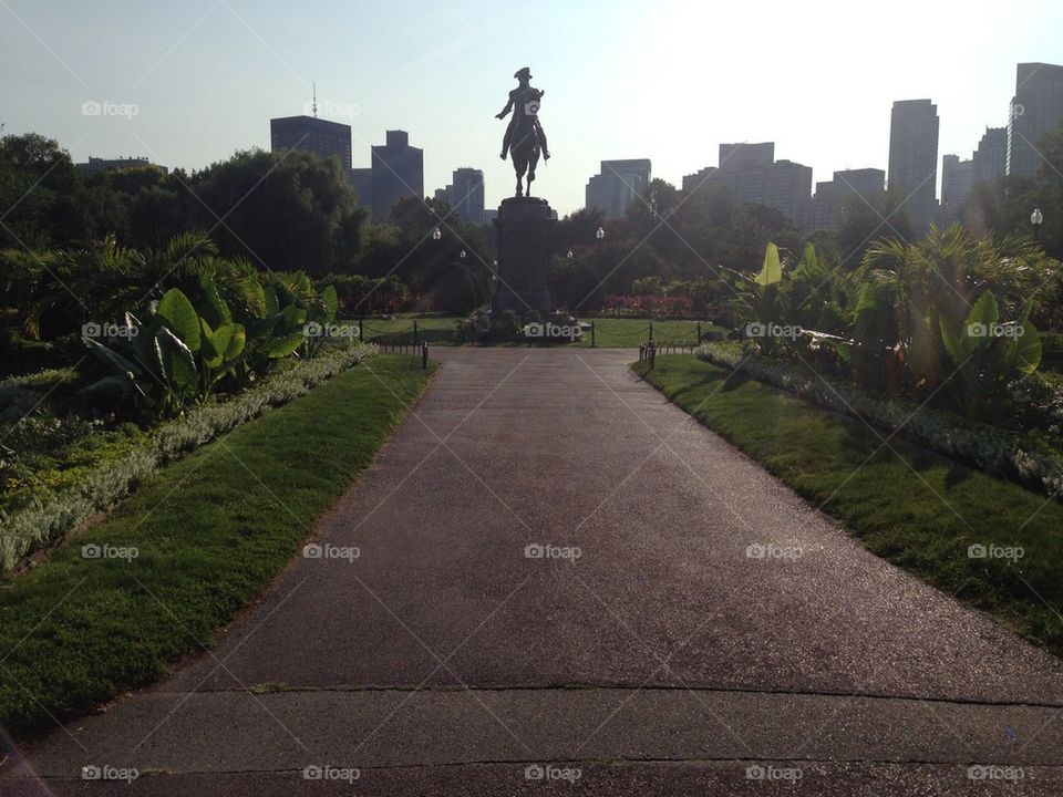 Boston common