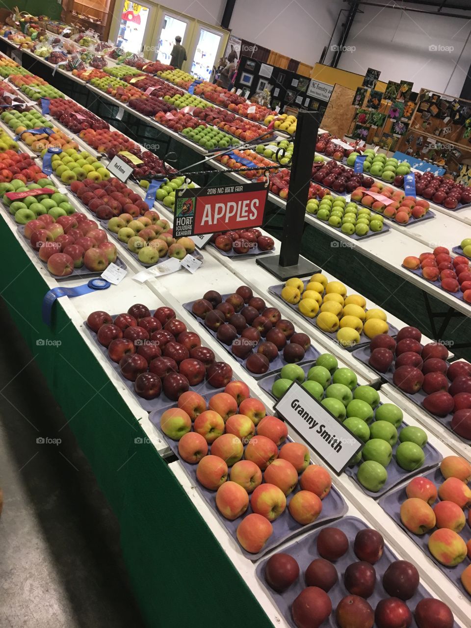 Prize winning apples at the state fair