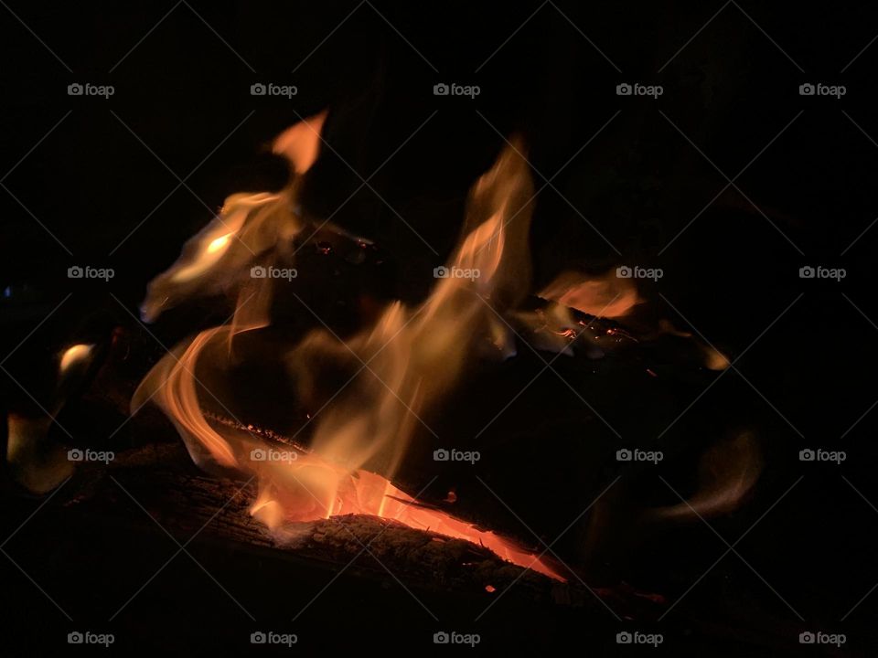 Editor’s Choice: Photo of The Week