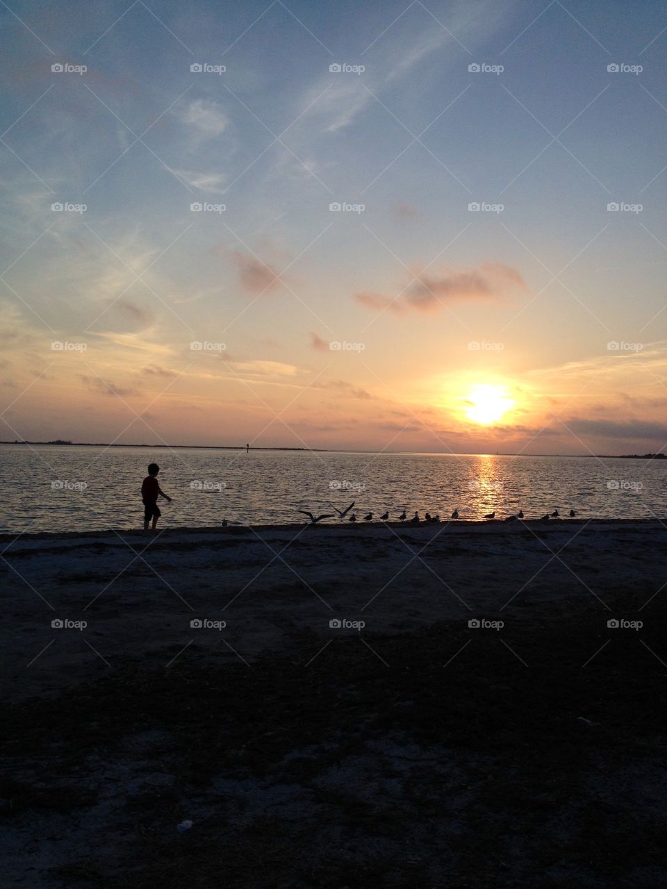 Boy chasing birds at sunset