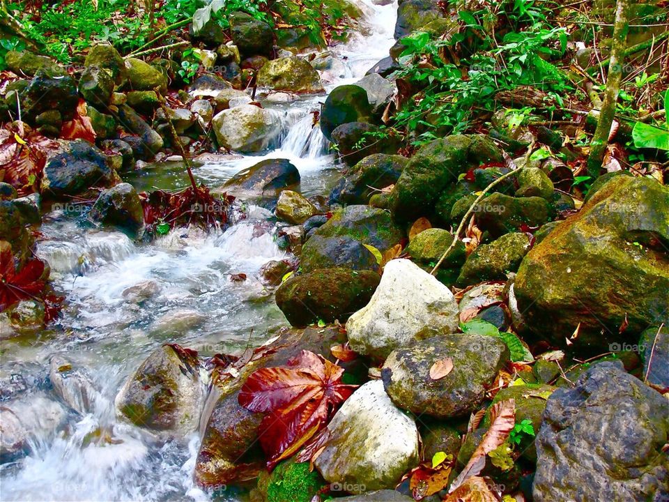 Stream flowing through rocks