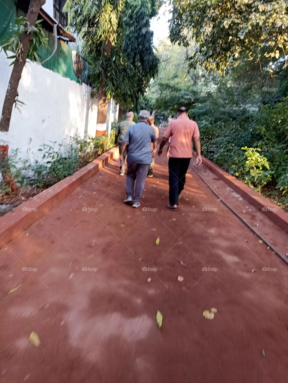 Morning Walk