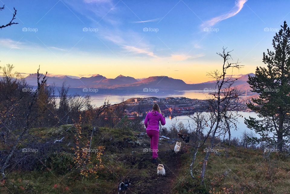 Mountainhike in Ankenesfjellet