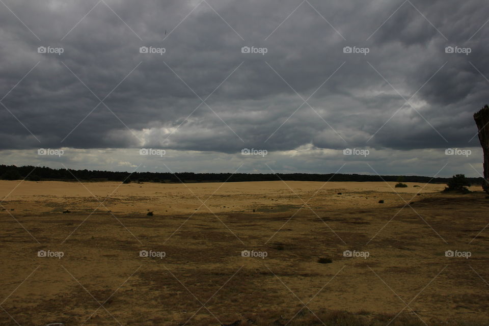 dark clouds above the open field